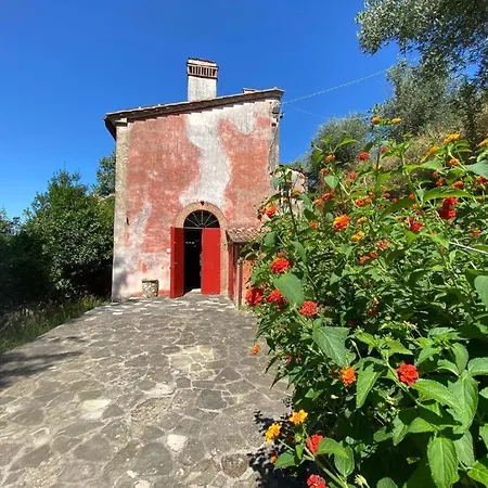 Villa In Toscana Con Piscina Privata E Parco Privato Montemagno (Pisa)