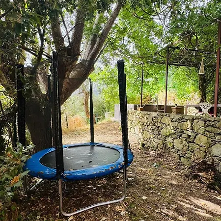In Toscana Con Piscina Privata E Parco Privato Villa Montemagno (Pisa)