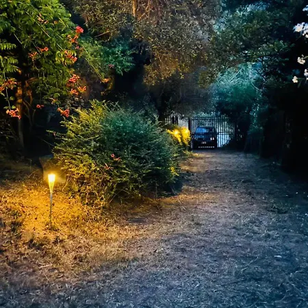 Villa In Toscana Con Piscina Privata E Parco Privato Montemagno (Pisa)